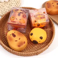 Squishy Capybara Redonda