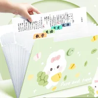 Carpeta Archivador con Divisiones Pretty