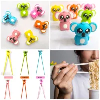 Palitos de Aprendizaje Diseño Ardilla