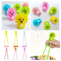 Palitos de Aprendizaje Diseño Ardilla