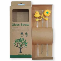 Set de Sorbetes de Vidrio Eco Friendly + Limpiador con Tapas de Silicona Con