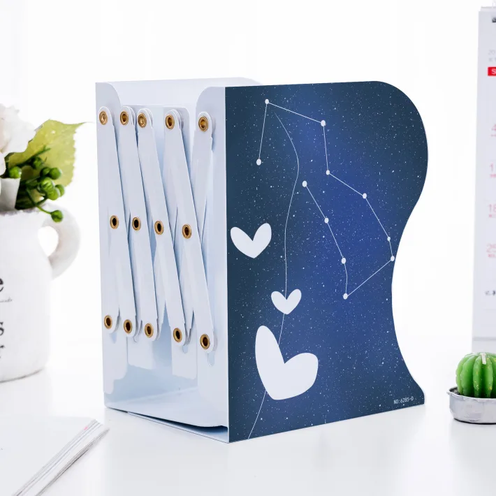 Estante Organizador Retráctil para Libros/Carpetas Bear Love