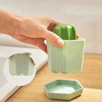 RR-59 - Esponja de Limpieza Desmontable Cactus