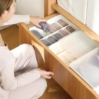 S3013-10 - Caja Organizadora con 10 Divisiones